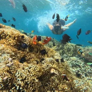 Exclusive Tour: Private Snorkeling at 3 Secret Gili Islands