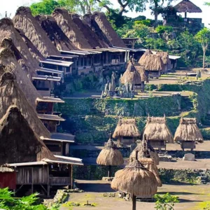 Sumba Overland Tour 4D 3N