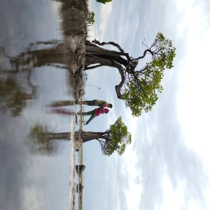 Sumba Overland Tour 5D 4N