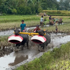 Lombok Panoramic Walking Tour and Culture : Buwun Sejati Village