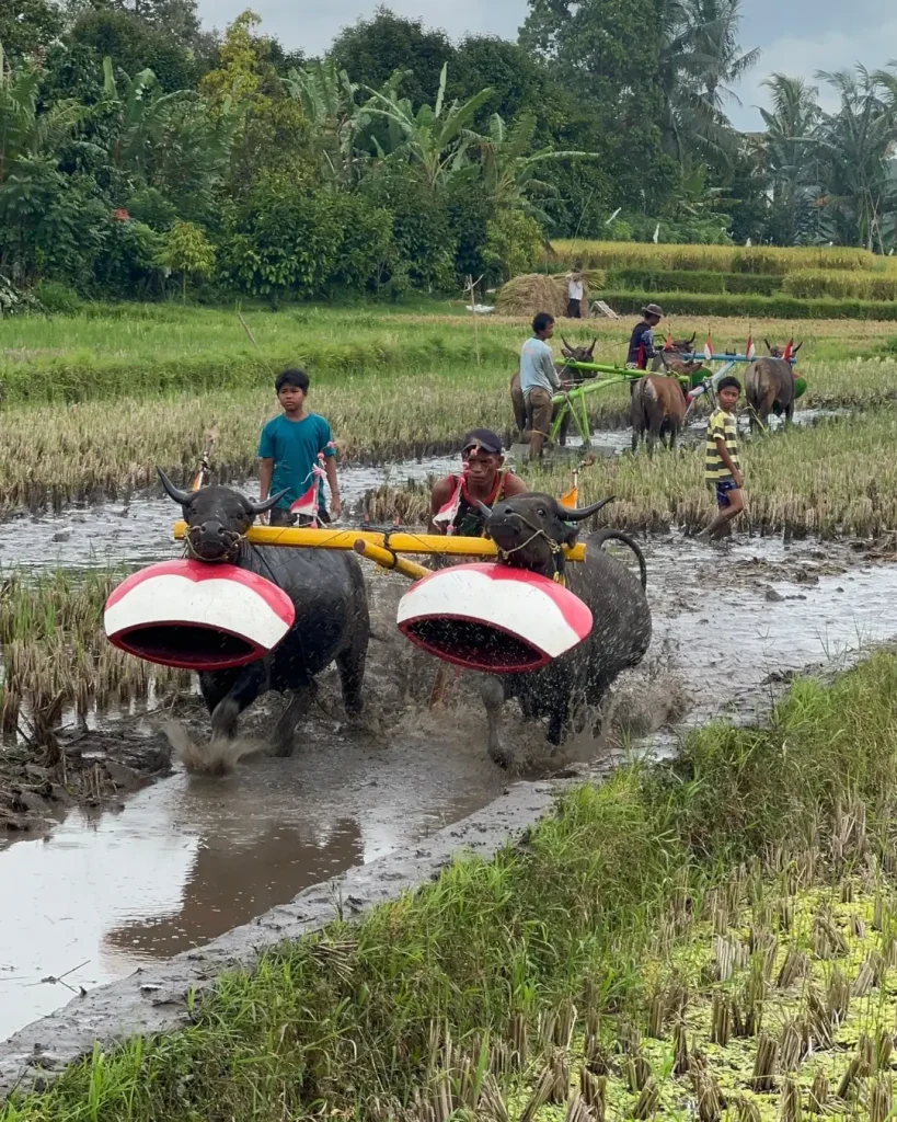 Lombok Panoramic Walking Tour and Culture : Buwun Sejati Village