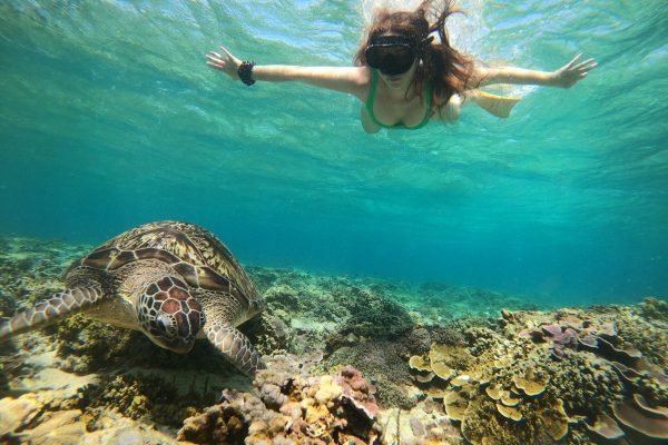 Private Lombok Snorkeling Trip