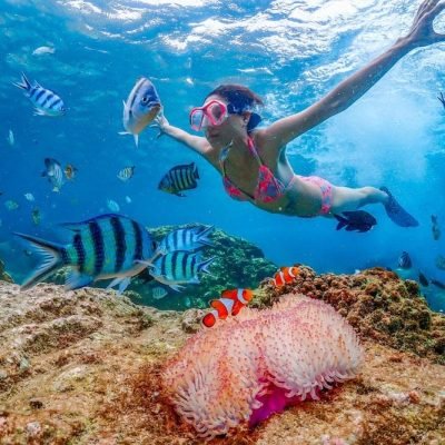 nemo